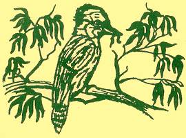 Kookaburra Logo